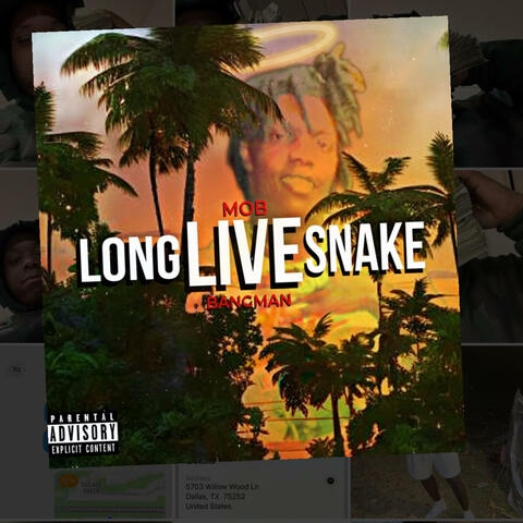 Long live snake (Live)