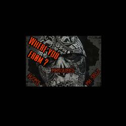 Where you Frøm (feat. MHSELX & DBGHXMI)