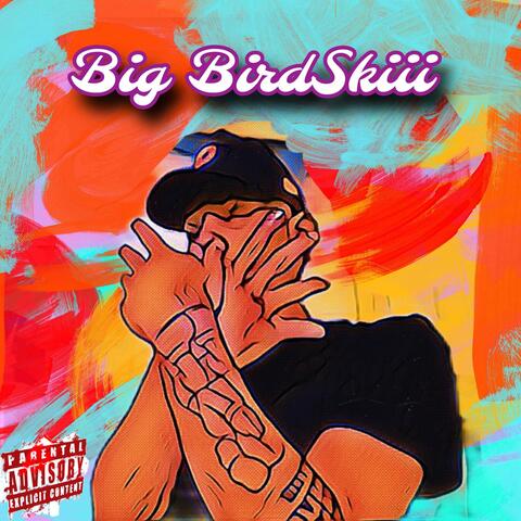 Big BirdSkiii