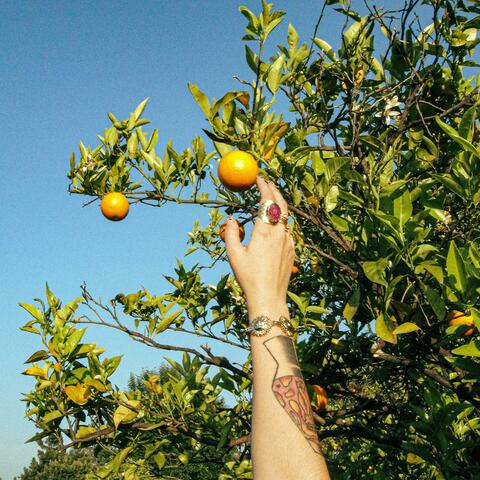 Orange (feat. Alex Infinity)