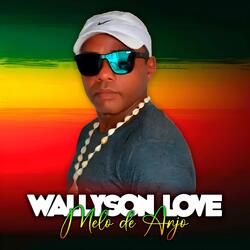 MELÔ DE ANJO (feat. WALLYSON LOVE)