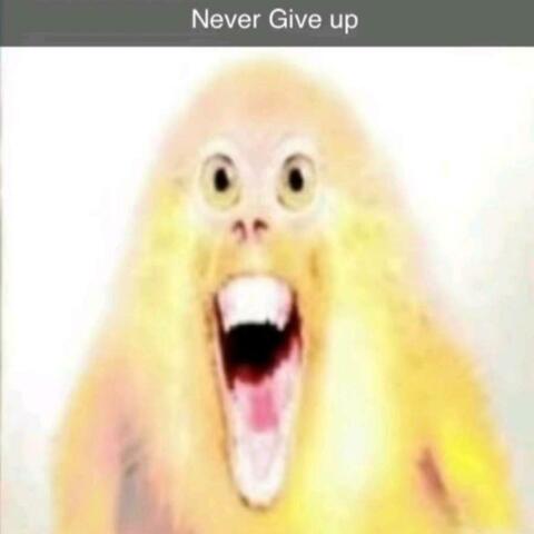 Never Give up