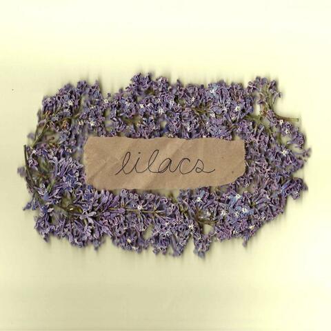 Lilacs