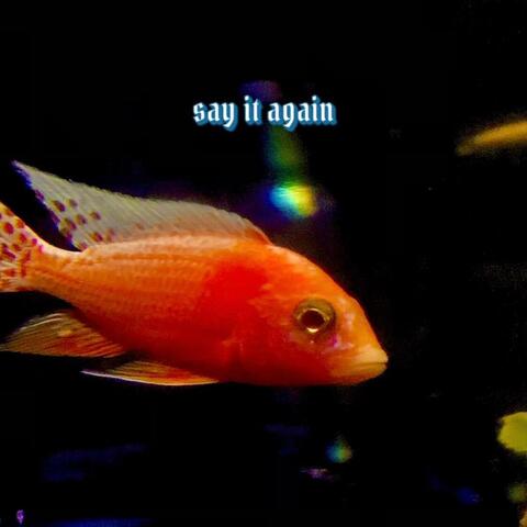 Say it Again