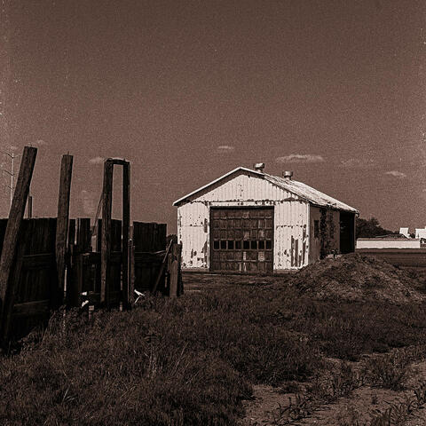 Grain