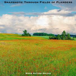 Snapshots: Through Fields of Flanders