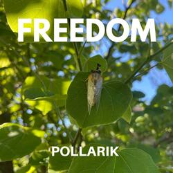 Freedom
