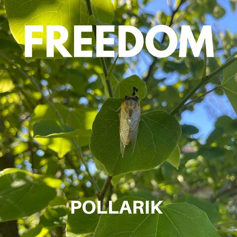 Freedom