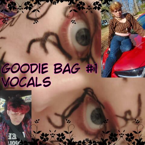 GOODIE BAG 1: Secluded Vocals!