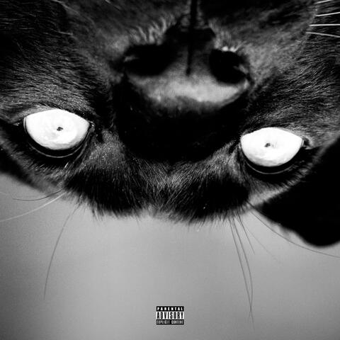 We Are Stars (feat. A'Viana Naree, Prophet, Katarra Parson & Asa the Artist)