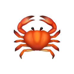 Crab