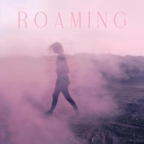 Roaming