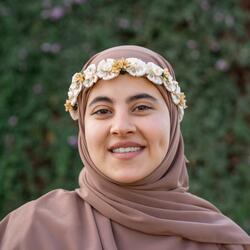 يا امام الرسل بدون موسيقى