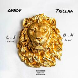 Like it or not (feat. Trillaa)