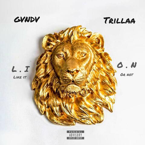 Like it or not (feat. Trillaa)
