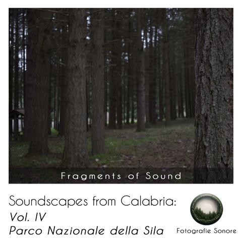 Soundscapes from Calabria: Vol. IV Parco Nazionale della Sila