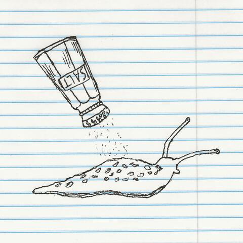 Salt on a Slug