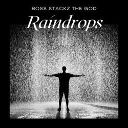 RAINDROPS