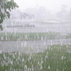 Rainfall