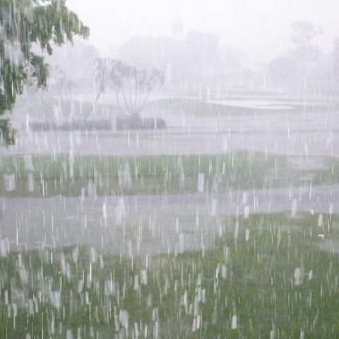 Rainfall
