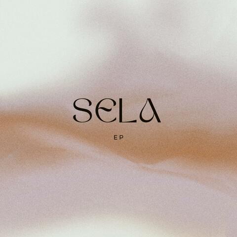 Sela Vision