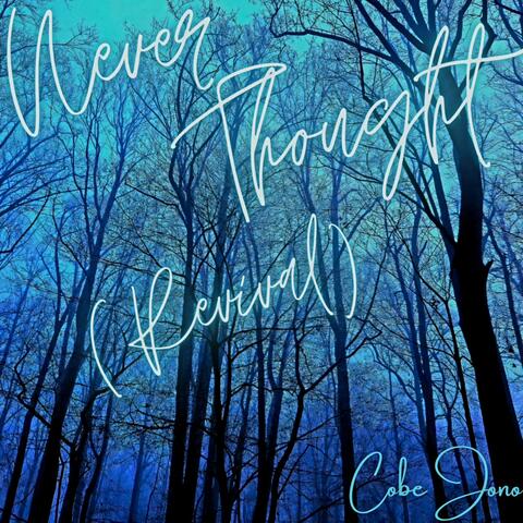 Never Thought (Revival)