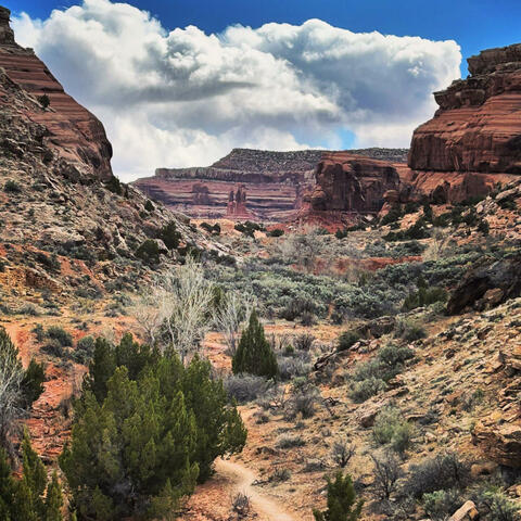 Moab EP