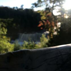 the kissing bridge is famous for two things sucking face and carving names