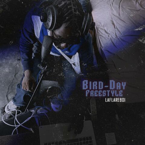 BIRD MUSIK