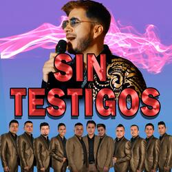 SIN TESTIGOS