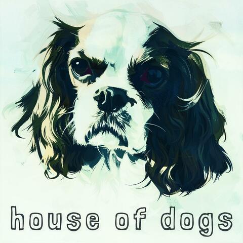 House of dogs