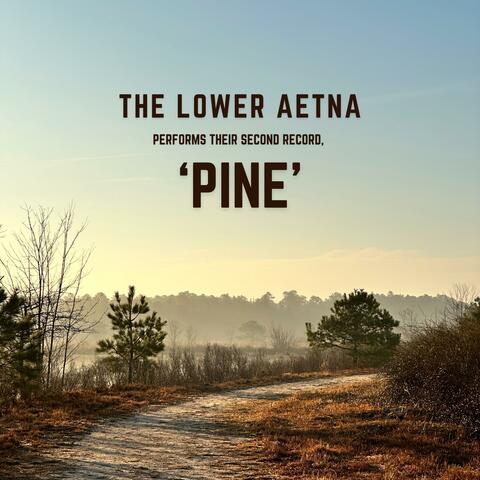 Pine