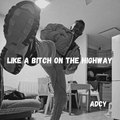 Like a bitch on a highway