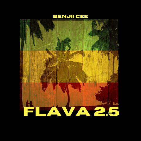 FLAVA 2.5