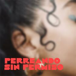 PERREANDO SIN PERMISO