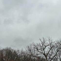 ran out (feat. reachedmars)