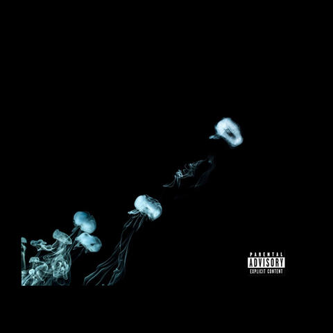 Only1Marco Vibes (Official Audio)