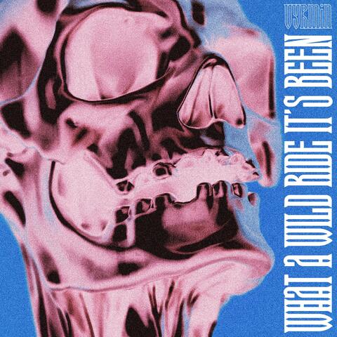 What a Wild Ride It's Been