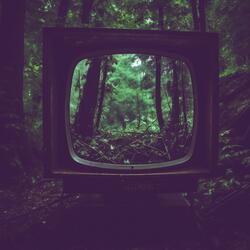 Anatomy of a Taken Step