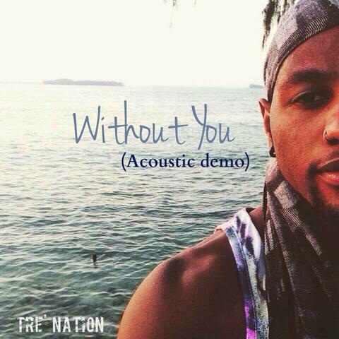 Without You (Acoustic Demos 2012-2014)