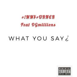 What You Say (feat. Ogmillions)