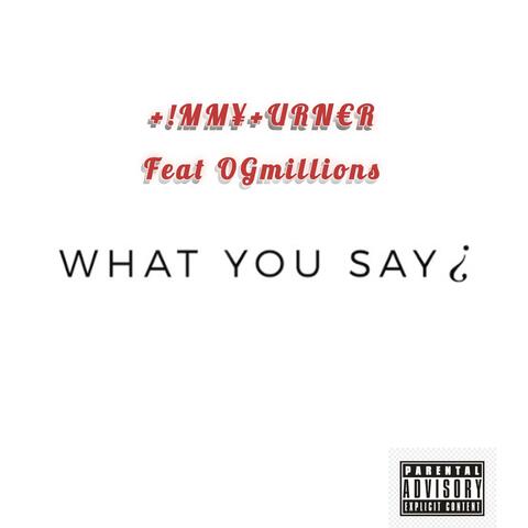 What You Say (feat. Ogmillions)