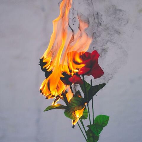 Memories To Ashes