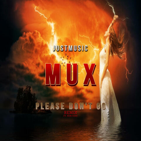 PLEASE DON'T GO (Remix)