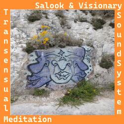 Transensual Meditation (feat. Salook)