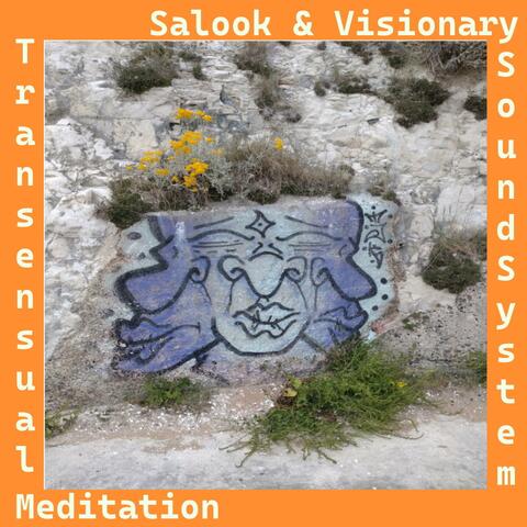 Transensual Meditation (feat. Salook)