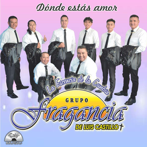 Donde estas amor