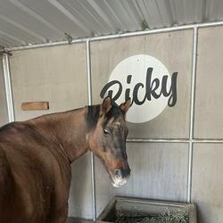 Ricky