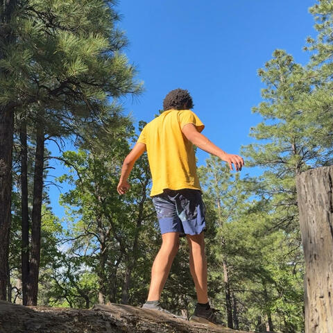 Flagstaff