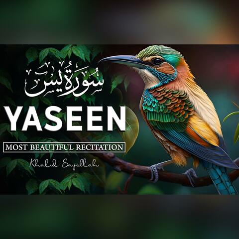 Surah Yaseen